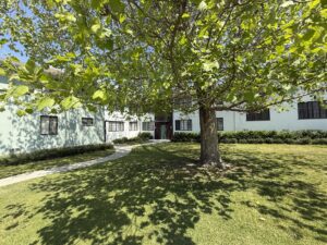 Exterior Acclaim at Baldwin Village, outdoor area, large lush tree in center of the lawn, meticulous landscaping, sidewalks going to buildings.