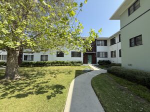 Exterior Acclaim at Baldwin Village, outdoor area, large lush tree in center of the lawn, meticulous landscaping, sidewalks going to buildings.