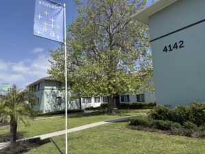 Exterior Acclaim at Baldwin Village, outdoor area, large lush tree in center of the lawn, meticulous landscaping, sidewalks going to buildings, avanath flag flying.